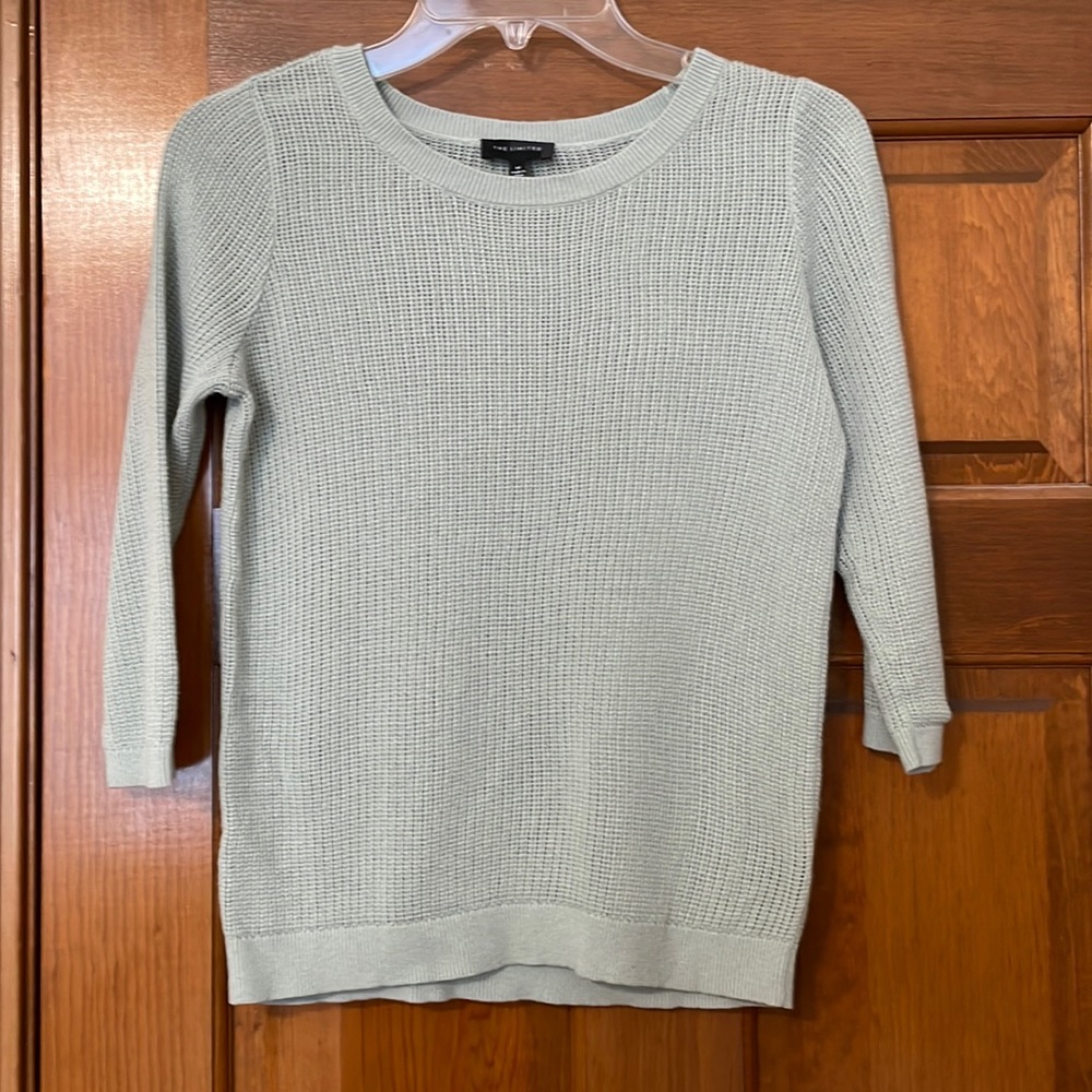 The Limited sage green sweater.
